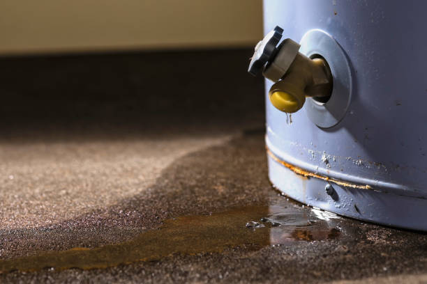 Best Water damage restoration near me  in Lake Tapps, WA