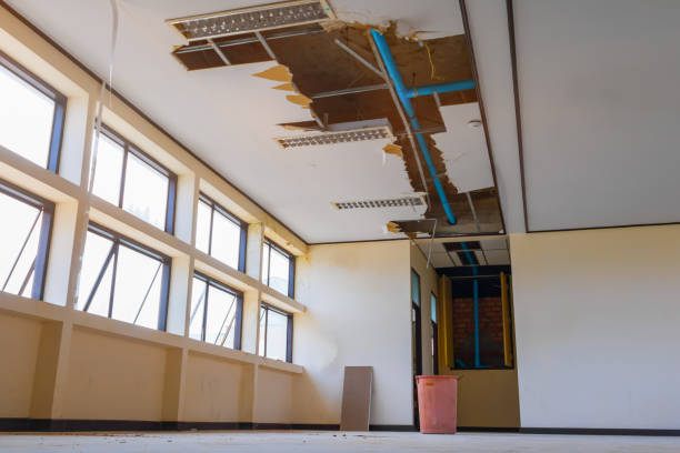 Best Mold removal after water damage  in Lake Tapps, WA