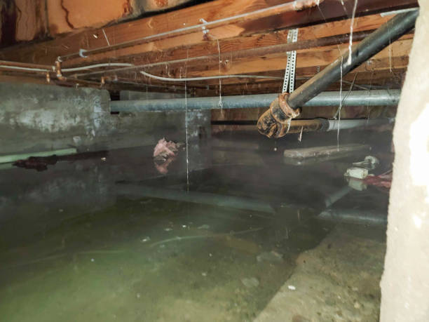 Best Water damage restoration near me  in Lake Tapps, WA