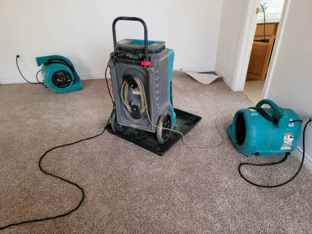 Best Ceiling water damage repair  in Lake Tapps, WA