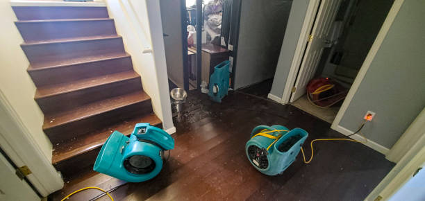 Best Water damage cleanup near me  in Lake Tapps, WA