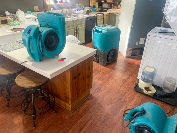 Best Emergency water damage restoration  in Lake Tapps, WA