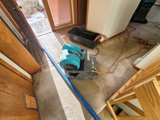 Best Water damage contractors near me  in Lake Tapps, WA