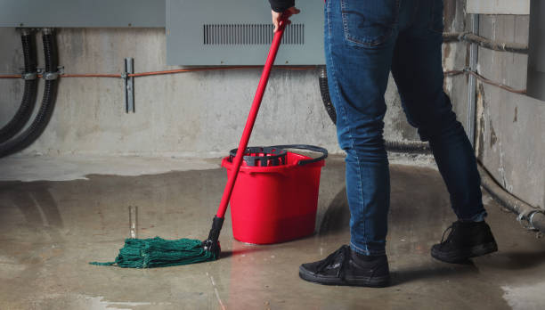 Best Basement water damage restoration  in Lake Tapps, WA